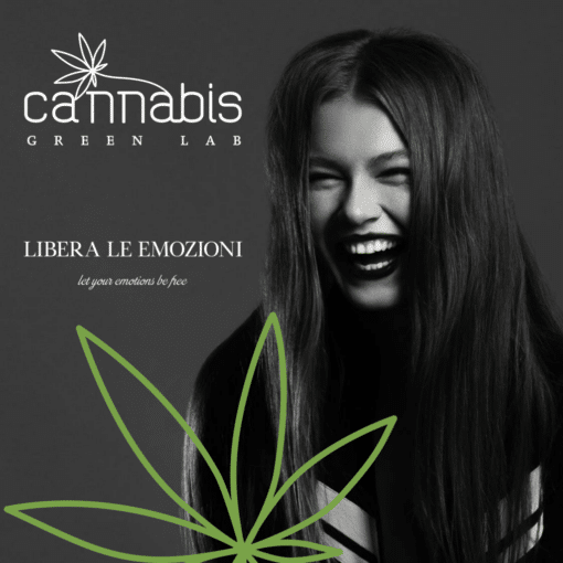cannabis