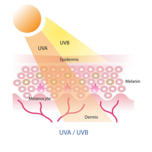 uva - uvb 